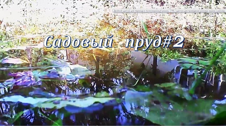 Садовый пруд #2 музыка релакс