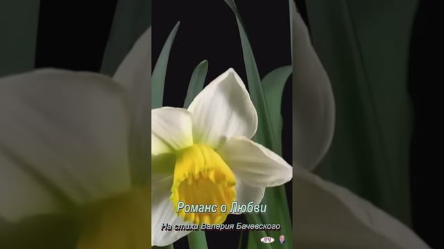 Чувственный романс о Любви