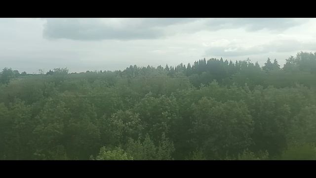 как я Ехал на концерт Цвет настроения выпуск 10.6.26