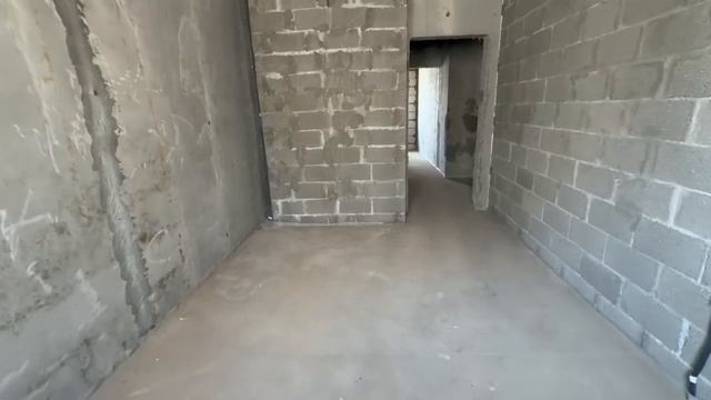 17282009467565