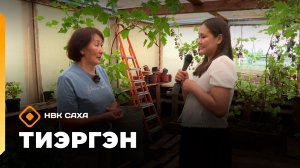 «Тиэргэн»  (05.08.26)