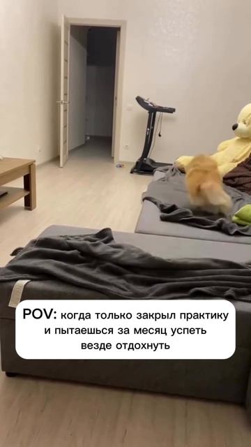 Успеть всё к учебному году