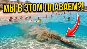 Куда на самом деле СЛИВАЮТ туалеты в отелях Египта?! Вот откуда ЗАПАХ!