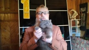 13.3 Эпоха Судей: «Каждый делал, что хотел»