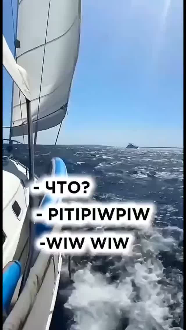 Питипитипиви