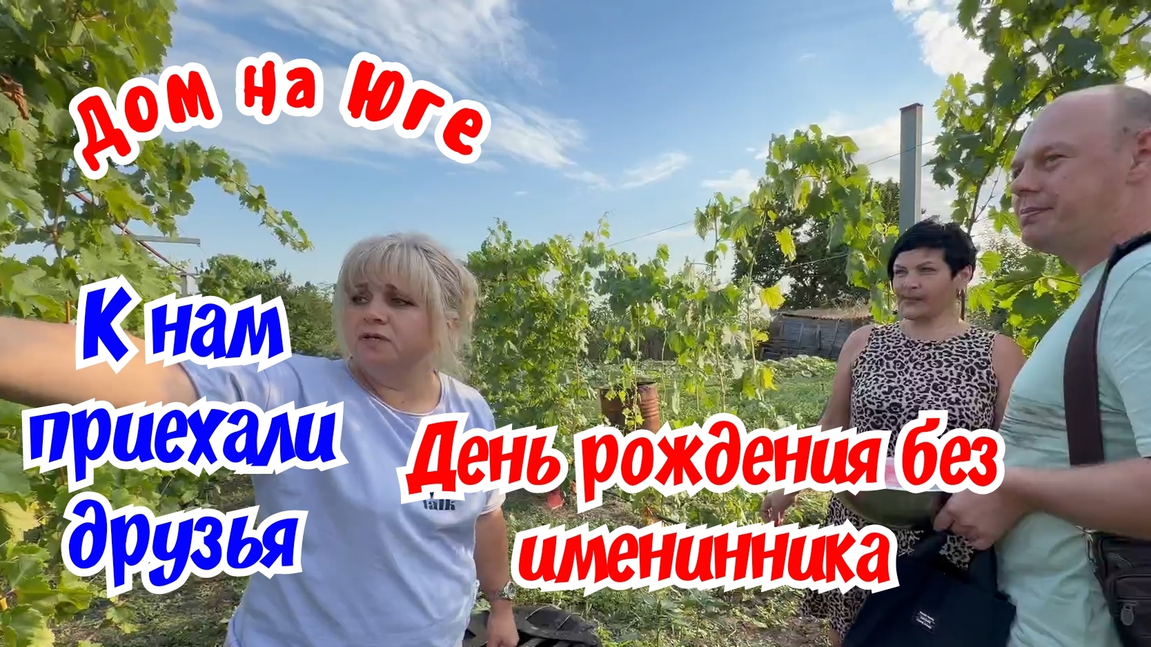 Дом на Юге К нам приехали друзья. День рождения без именинника.