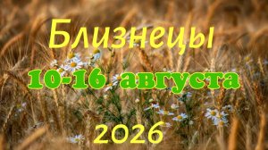 Близнецы♊ Таро-прогноз на неделю с 10 по 16 августа 🕊