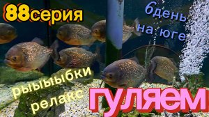 88серия/ отдыхаем в Анапе/ посмотрели рыбок/ 6 день отдыха на юге/ 03.08.2026