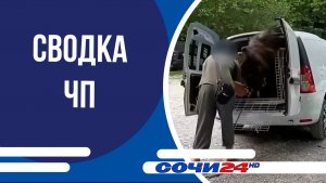 Сводка ЧП