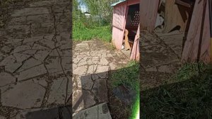 Краснодар-Башкирия. 5 День