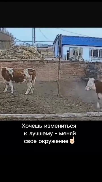 Вдохновения пост 🗿