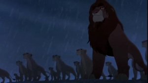 Симба🦁♂️ VS Зира🦁♀️