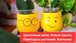 ЦВЕТОЧНЫЕ ДЕЛА🌸🍀 НОВЫЕ КАШПО💖🌷ПЕРЕСАДКА РАСТЕНИЙ 🍀БОЛТАЛКА.🌺🌳