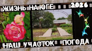 Жизнь на юге. Наш участок, погода.
