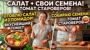 Собираю семена томатов, делаю салат. Расскрываю секрет томата Староверов