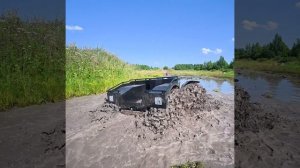 Кружит голову, как в детстве карусель...