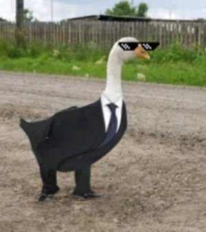 ну ир
привет