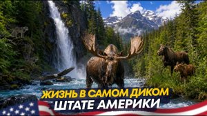КАК ВЫЖИВАЮТ РУССКОЯЗЫЧНЫЕ НА ЗАГНИВАЮЩЕМ ЗАПАДЕ: Как наши живут в самом диком штате Америки