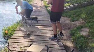 Карп продолжает клевать)