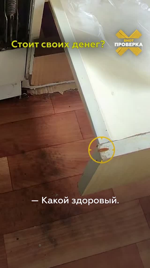 Выгодная двушка с тараканами в духовке