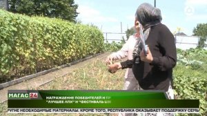 Победителей ингушских конкурсов «Лучшее ЛПХ» и «Фестиваль цветов» наградят в октябре