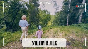 Ушли в лес | Ленюсь без зазрения совести!) | У нас нашли пропавшего  - ВЛОГ №4023 - 04.08.26