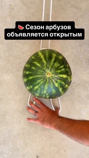 арбуз