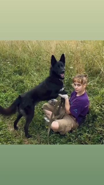 Оникс в поисках дома ❤️