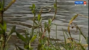 Большая вода и сотни спасенных жизней в областном МЧС подвели итоги за июль