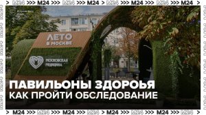 Павильоны здоровья на столичных бульварах помогут скорректировать образ жизни - Москва 24