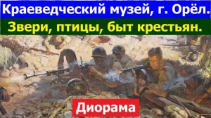 20260805 Орловский краеведческий музей г Орла старинные вещи одежд диорама ВОВ звери птиц город Орёл