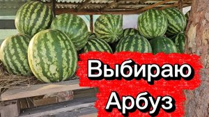 Как выбрать спелый красный  арбуз, куда стучать