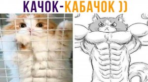 КОТ-КАЧОК (кабачок) ))) Приколы с котами