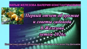 Первый отчет об урожае и советы садовода В.Железова летом 2026г.