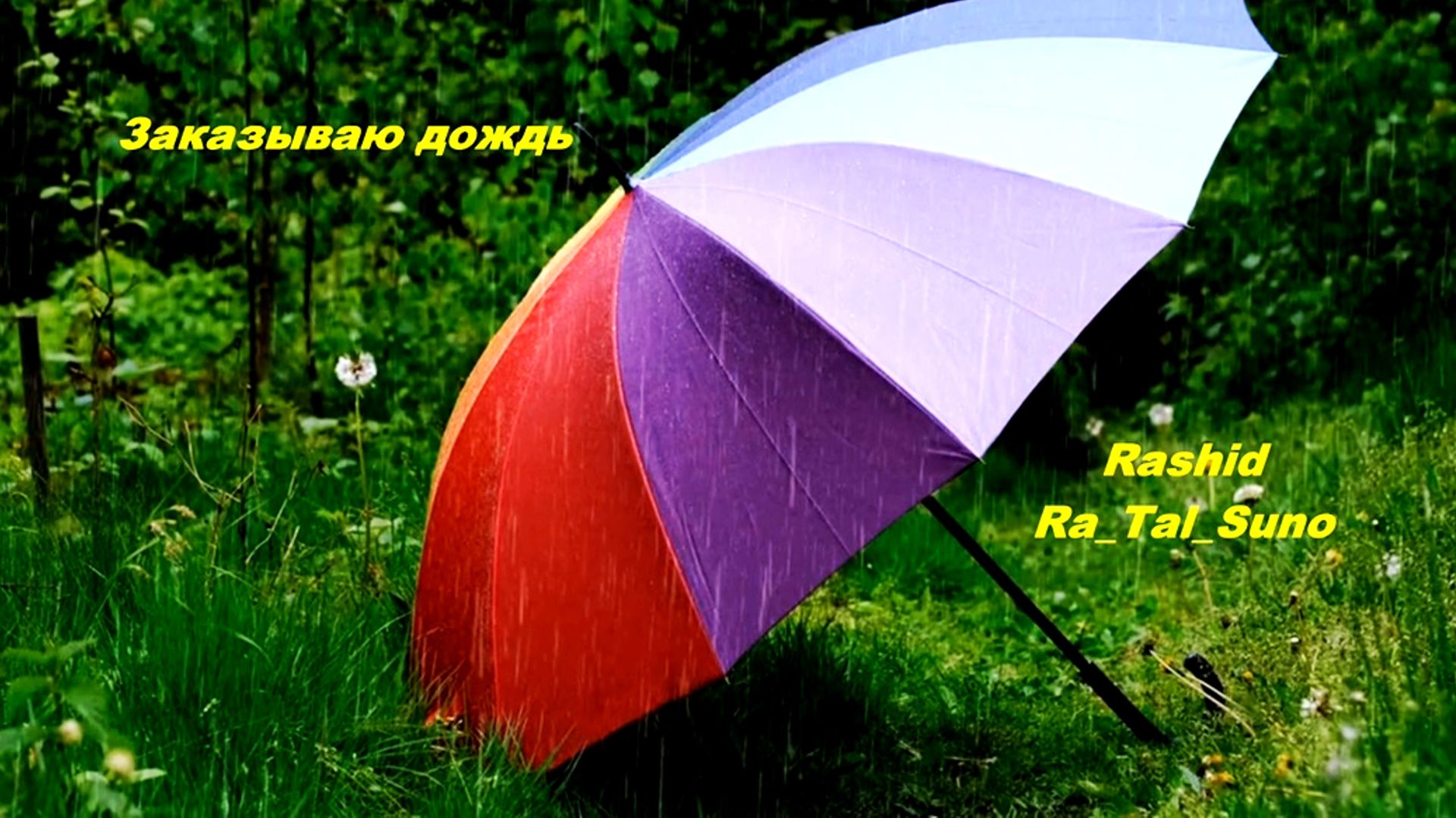 Заказываю дождь_ Rashid_ Ra_Tal_Suno