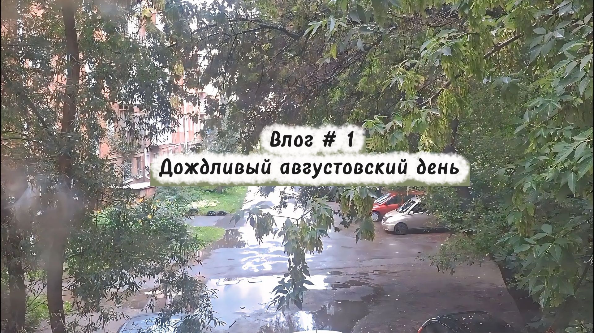 Влог. Учусь монтировать видео, еда,покупки.  Показываю как правильно нарезать арбуз 😂🍉