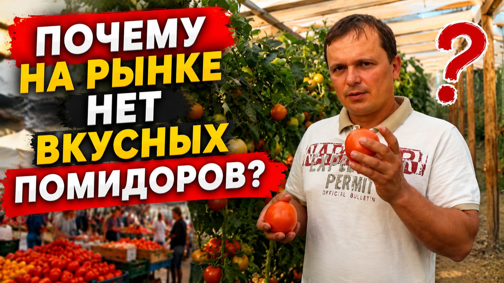 ПОЧЕМУ НА РЫНКЕ НЕТ ВКУСНЫХ ПОМИДОРОВ?