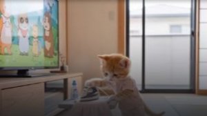 ИИ мультик про милого котенка