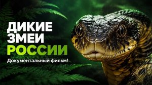 Невидимые убийцы как выживают ядовитые змеи России