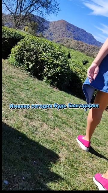 5 ПРИНЦИПОВ РЭЙКИ