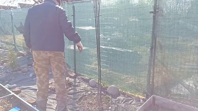 14-Дача. новая опора для клематиса..и подготовка грядок для клубники 06.05.-09.05.23.