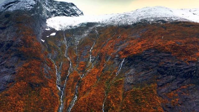 Красота высокого класса - Nature Relaxing Music
