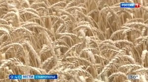 «Вести. Ставропольский край» 5.08.2026 (9.30)