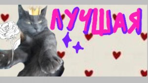 Лучшая! Трек на 30 котят! Кошка Мила говорящая кошка