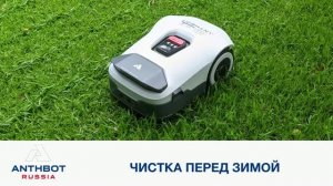 ANTHBOT — Чистка перед зимой