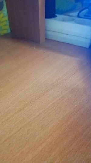 стрим