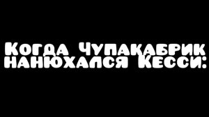 Когда Чупакабрик нанюхался kassie637k: