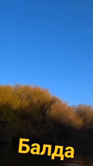 Ловля окуня на балду