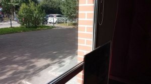 Симфония №458 Ирина Одарчук Паули