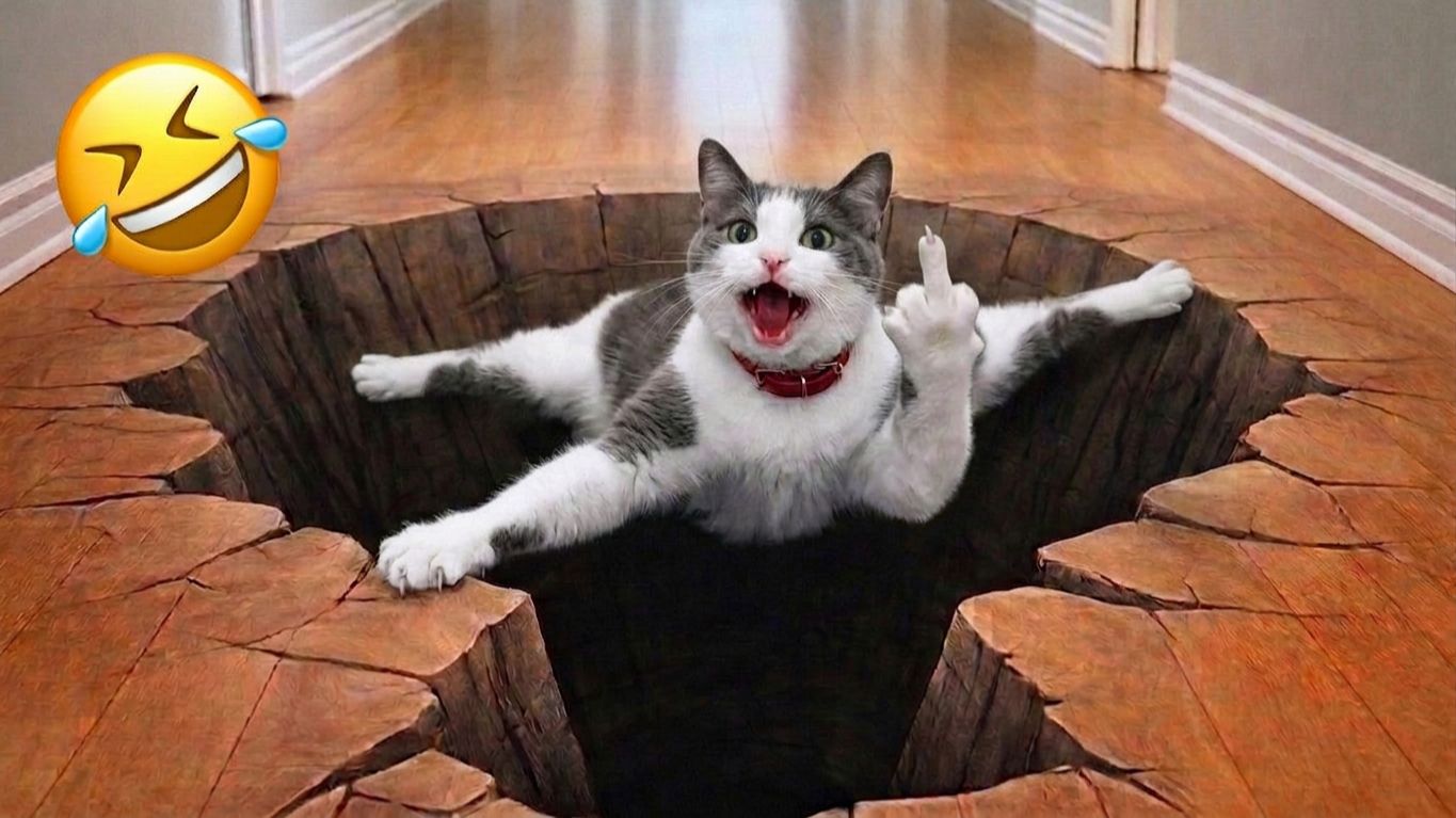 Смешные клипы с животными, которые заслуживают миллионов просмотров 😅 Смешные кошки. Смешные видео